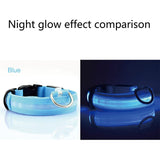 LED Glowing Rechargeable Waterproof Dog Safety Collar