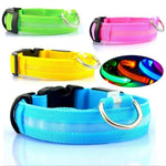 LED Glowing Rechargeable Waterproof Dog Safety Collar