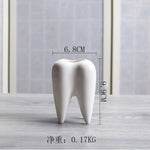 Tooth Vase Succulent Ceramic Pot