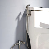 Stainless Steel Bidet Sprayer Bathroom Set