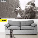 Cat Pet Anti-Scratch Furniture Protector