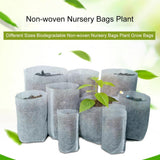 Biodegradable Plant Seedling Bags