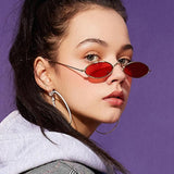 Retro Small Oval Sunglasses for Women