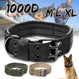Tactical Nylon Padded Dog Collar - Indigo-Temple