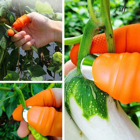 GardenBliss™ Harvesting Thumb Knife & Protector***2 sets***