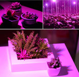 Plant Growing Full Spectrum UV IR LED E27 Lamps