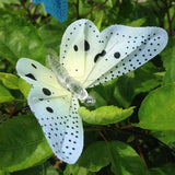 Solar Powered Butterfly Waterproof Led Fairy Lights