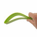 Convenient Cake Pie Slicer - Indigo-Temple