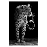 BLACK & WHITE AFRICAN ANIMAL CANVAS PAINTING