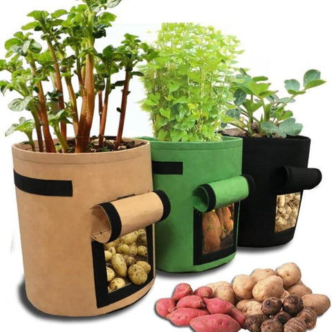 GardenTaste™ Tuber Vegetables Growing Bag