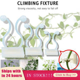 Vine Plant Climbing Stick-On Hook Set