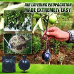 Plant Root Growing Ball (5pcs)