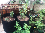 Non Woven Garden Planting Bag (5 Pcs)