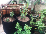 Non Woven Garden Planting Bag (5 Pcs)