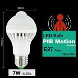 LED PIR Motion / Sound Sensor Lamp - Indigo-Temple