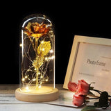 Beauty and the Beast LED Enchanted Rose in Glass Dome - Indigo-Temple