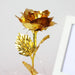 Beauty and the Beast LED Enchanted Rose in Glass Dome - Indigo-Temple