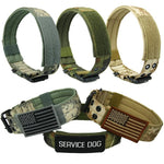 Tactical Nylon Padded Dog Collar - Indigo-Temple