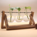 PlantDecor™ Hydroponic Transparent Plant Cocoons - Indigo-Temple
