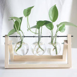 PlantDecor™ Hydroponic Transparent Plant Cocoons - Indigo-Temple