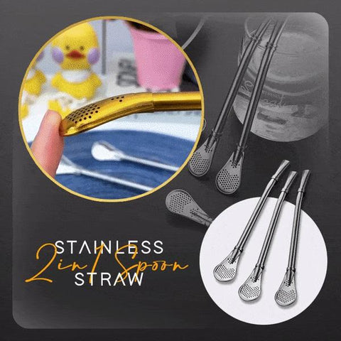 Stainless Steel 2 in 1 Spoon Straw (2pcs set)